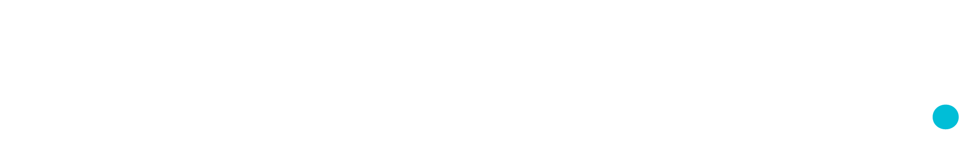 Canvas Logo